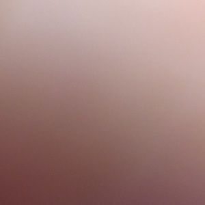 Meet your Posher, Owen